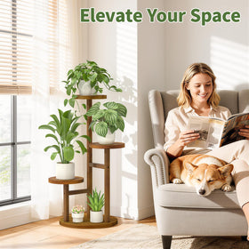 LASZOLA vertical greens display enabling better sunlight reach leaves