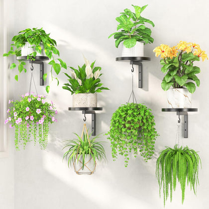 LASZOLA wall-mount plant shelf displays four plants in a compact space.