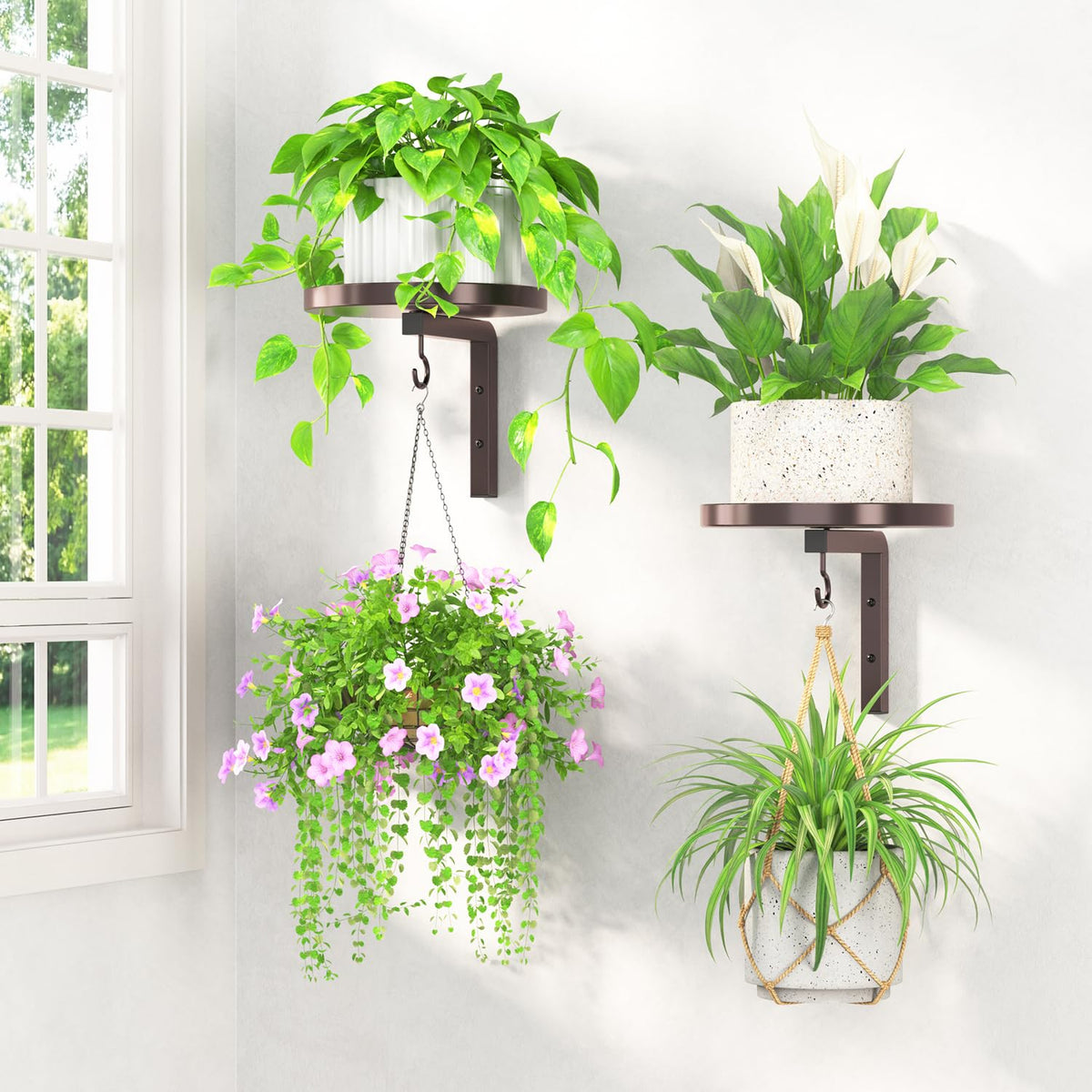 LASZOLA wall mounted plant hangers bronze finish elevate indoor greenery