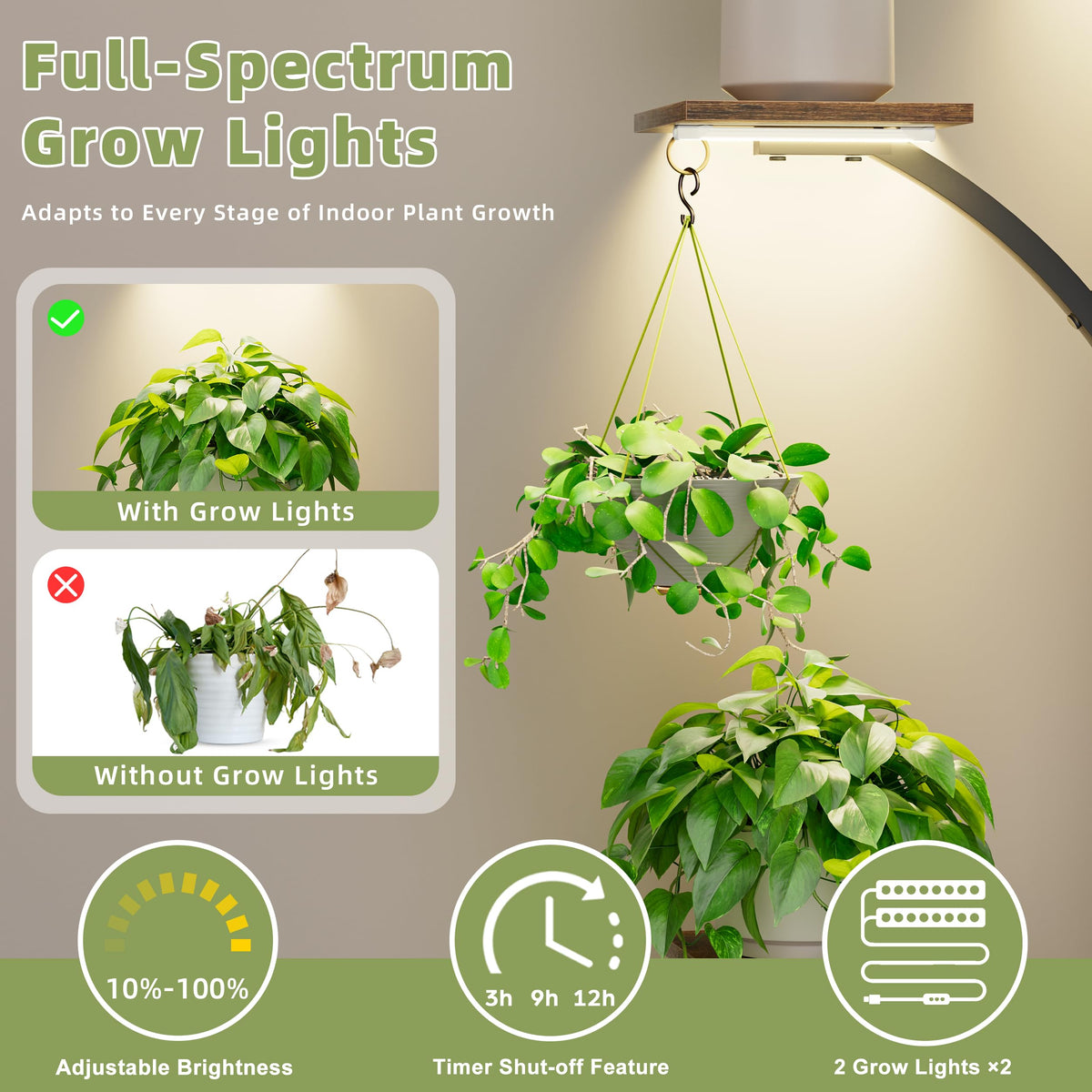 LATIBELL heavy-duty iron pipe plant rack provides sturdy indoor support