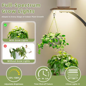 LATIBELL heavy-duty iron pipe plant rack provides sturdy indoor support