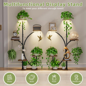 LATIBELL multi-plant display for windowsills and corners