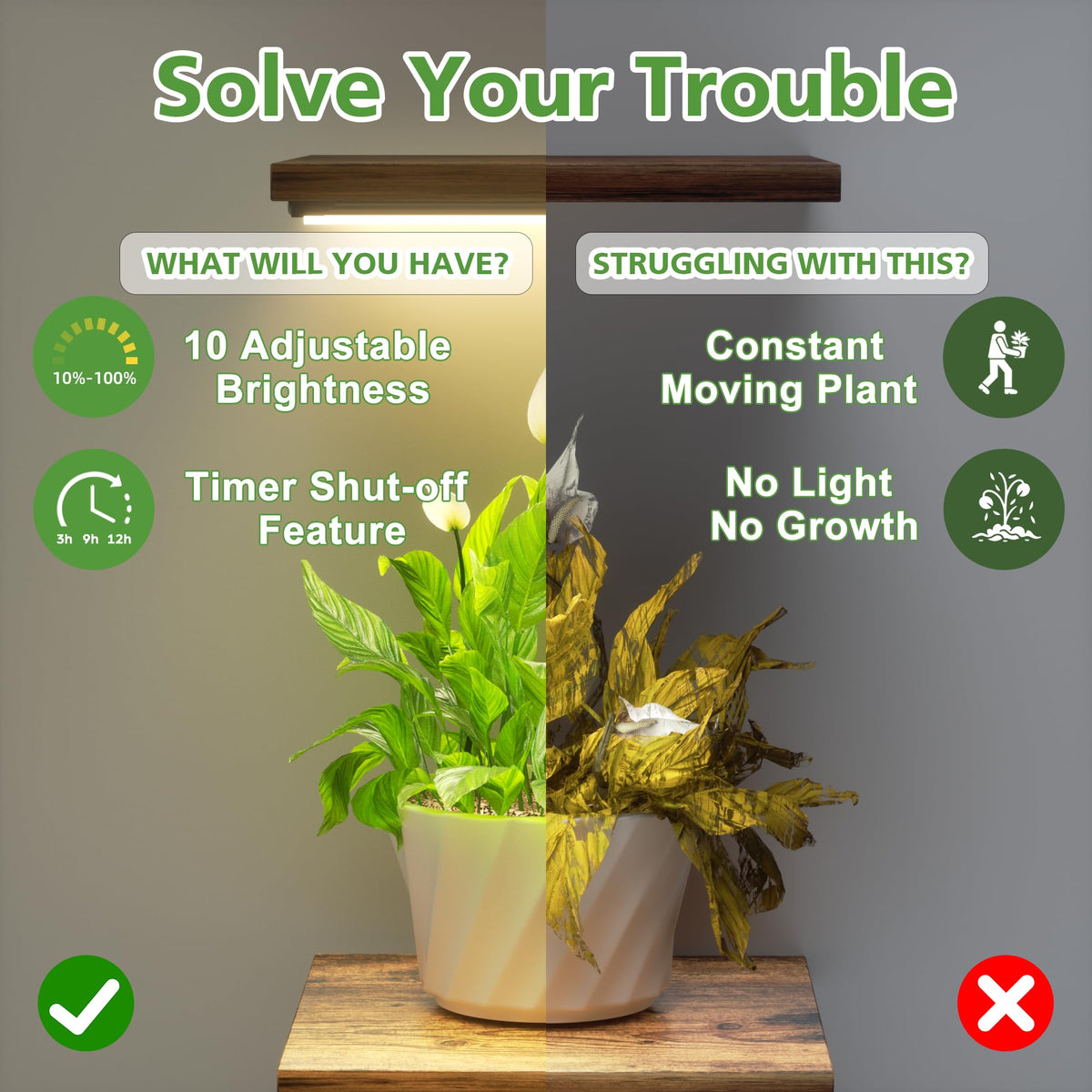 LATIBELL 2-pack 43-inch stands maximize plant display while saving space