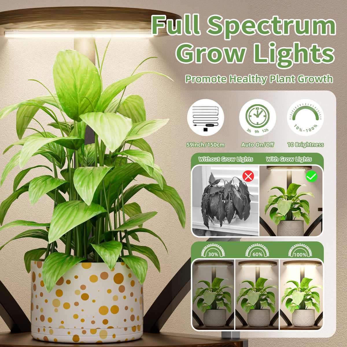 LATIBELL tiered plant rack with black finish adds modern decor.