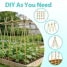 LATUXE bamboo stakes cucumber trellis helps airflow and sun reach.