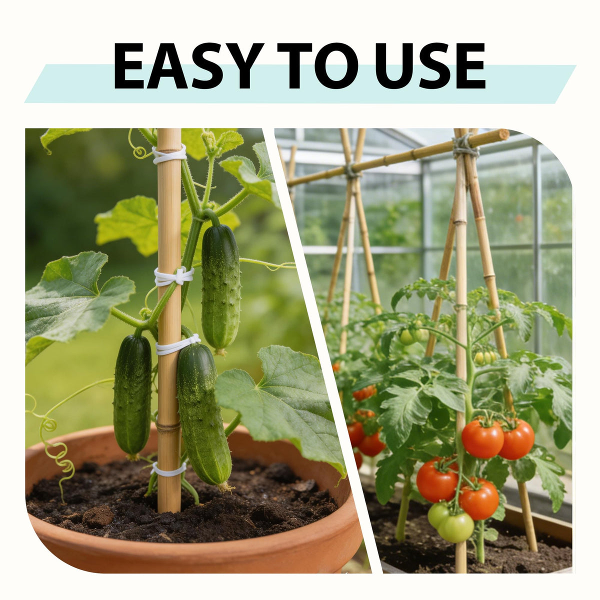 LATUXE bamboo stakes garden structure enables quick frames and fences.