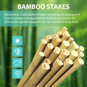 LATUXE bamboo stakes pepper support aids steady growth and trellising.