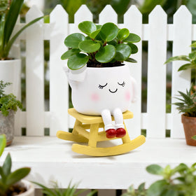 LAUGOKOBE Indoor-outdoor planter that resists sun and rain with durable resin