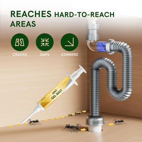 LAVANOVA Gel Bait attracts and kills common household ants effectively