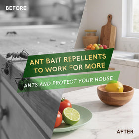 LAVANOVA Ant Gel Bait at entry points to disrupt trails