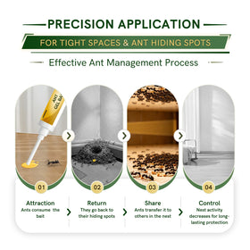LAVANOVA Ant Gel Bait ready-to-use design for quick placement