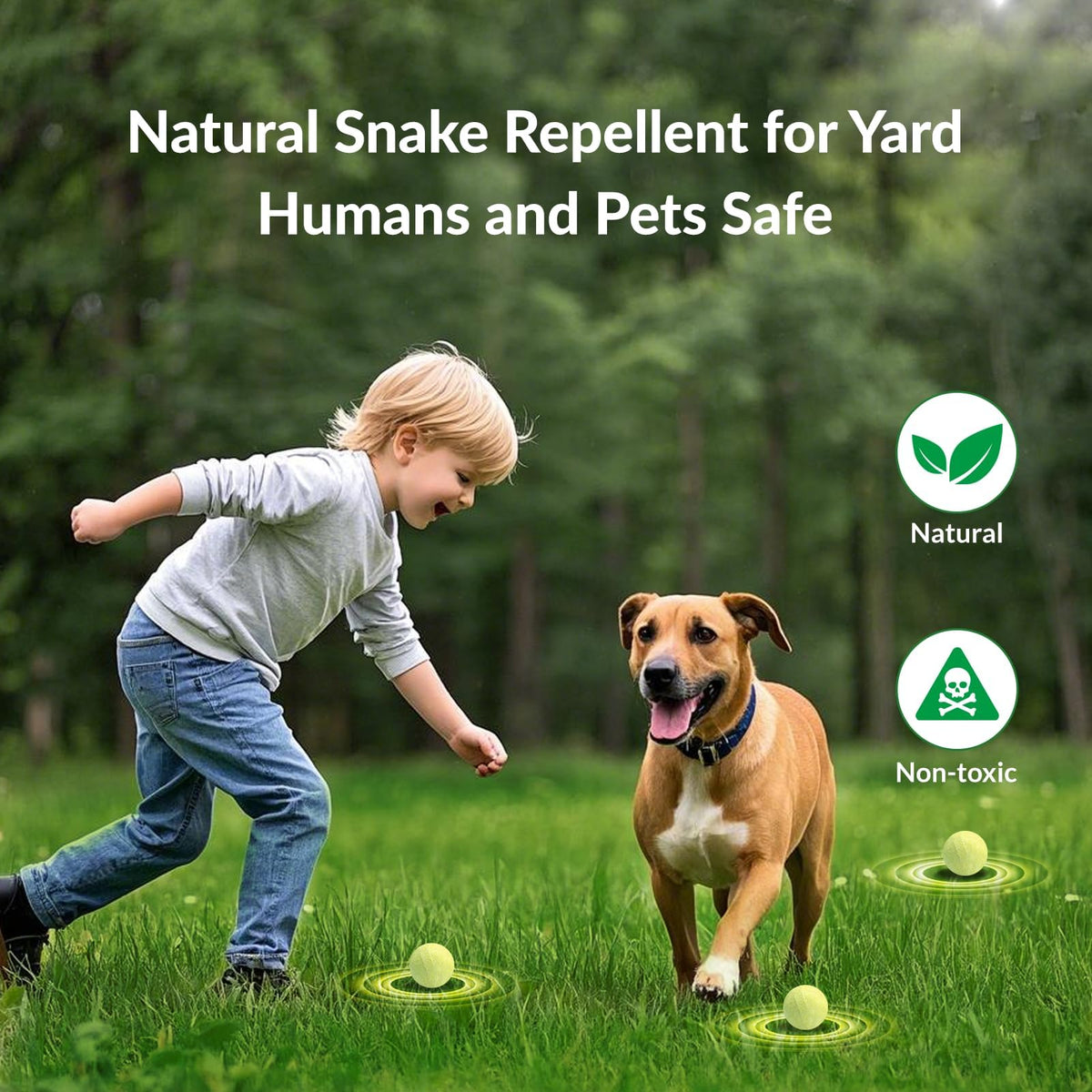 LAVANOVA outdoor application demonstrates effective deterrence for garden snakes.