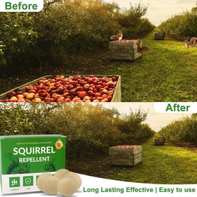 LAVANOVA Squirrel Deterrent attic application helps protect spaces from nesting.