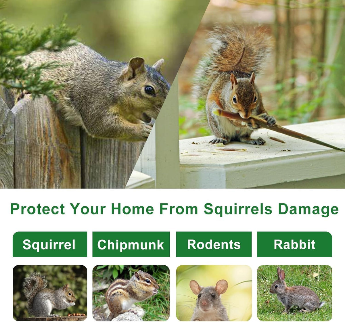 LAVANOVA Squirrel deterrent shields plants and seeds from nibbling wildlife.