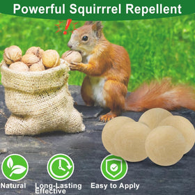 LAVANOVA Squirrel repellent for car protects wiring and interiors safely.