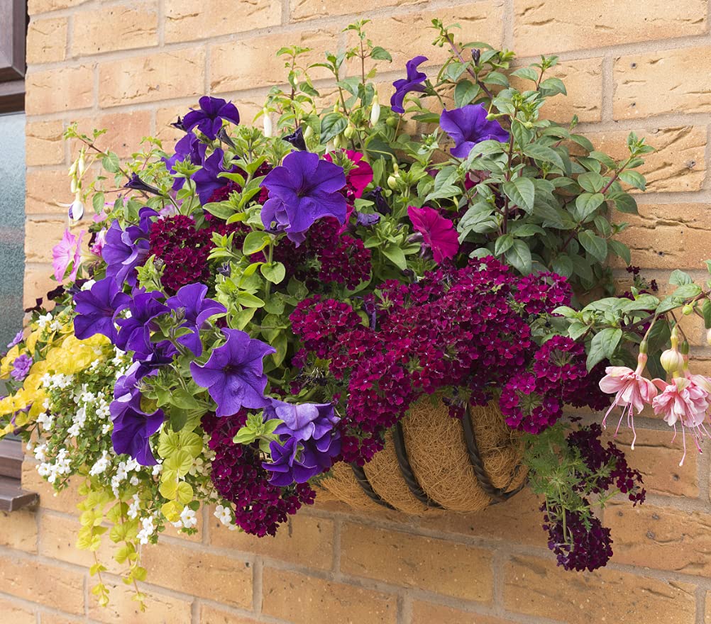 LAVEVE liner shown in garden setup for hanging baskets and window boxes.