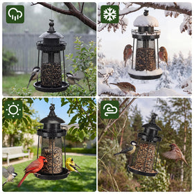 Lavezee bottom feeding port supports multiple birds at once