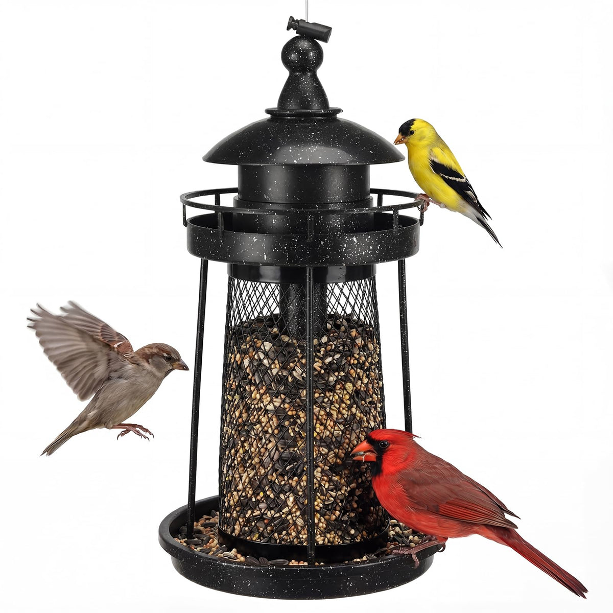 Lavezee outdoor large capacity bird feeder enabling extended birdwatching sessions