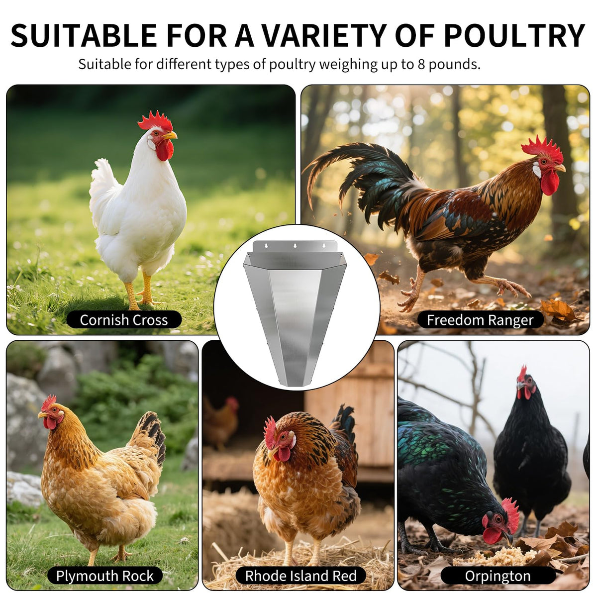 LavviTech poultry cone handles up to 18 lbs with stable support.