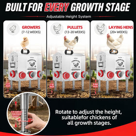 LavviTech anti-bully port system supports calmer feeding among birds