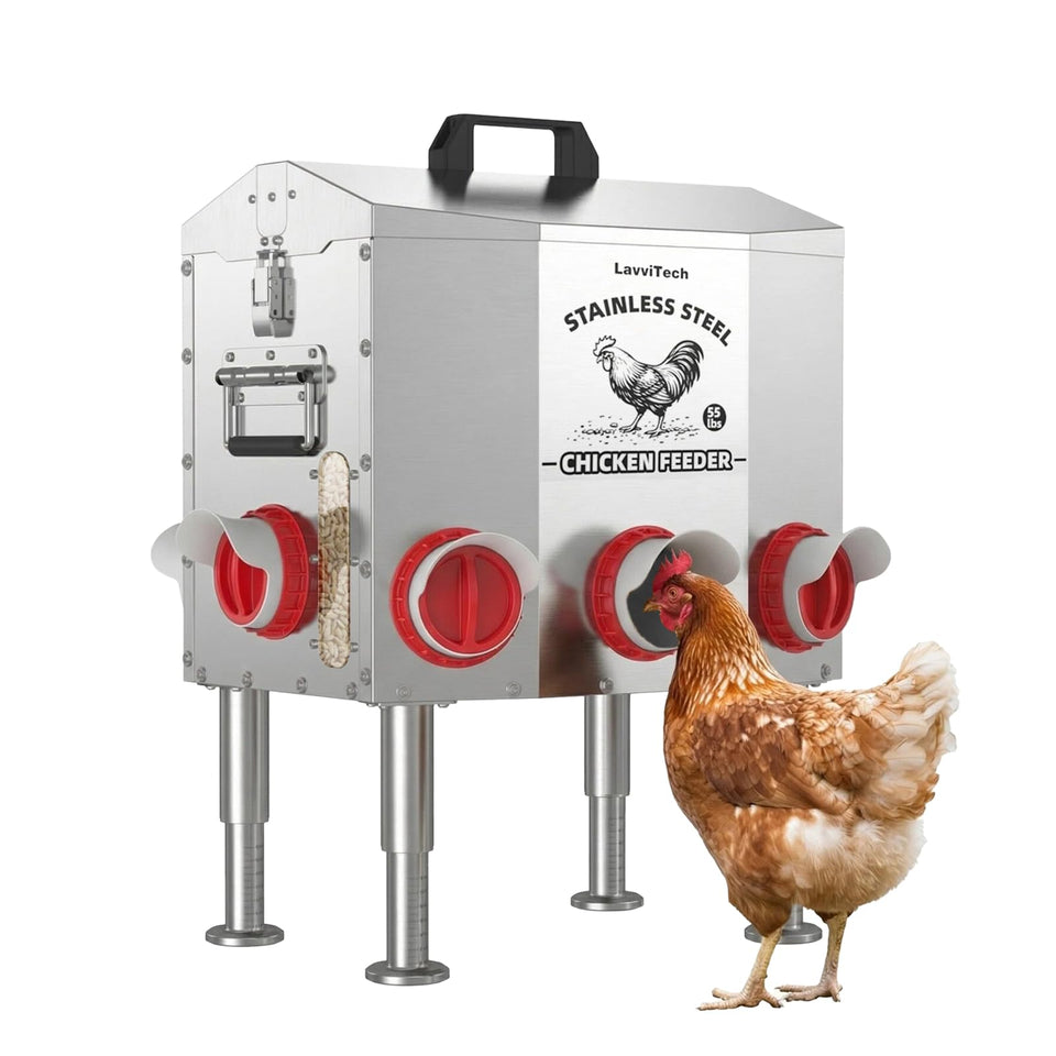 LavviTech large automatic feeder with 55lb capacity for fewer refills in a backyard flock