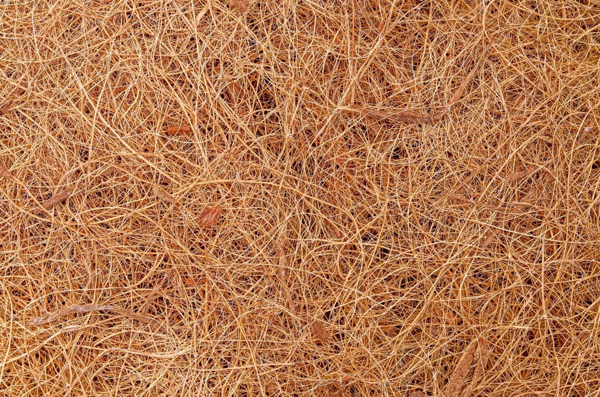 LAVZAN natural brown aesthetic hides wires for rustic displays.