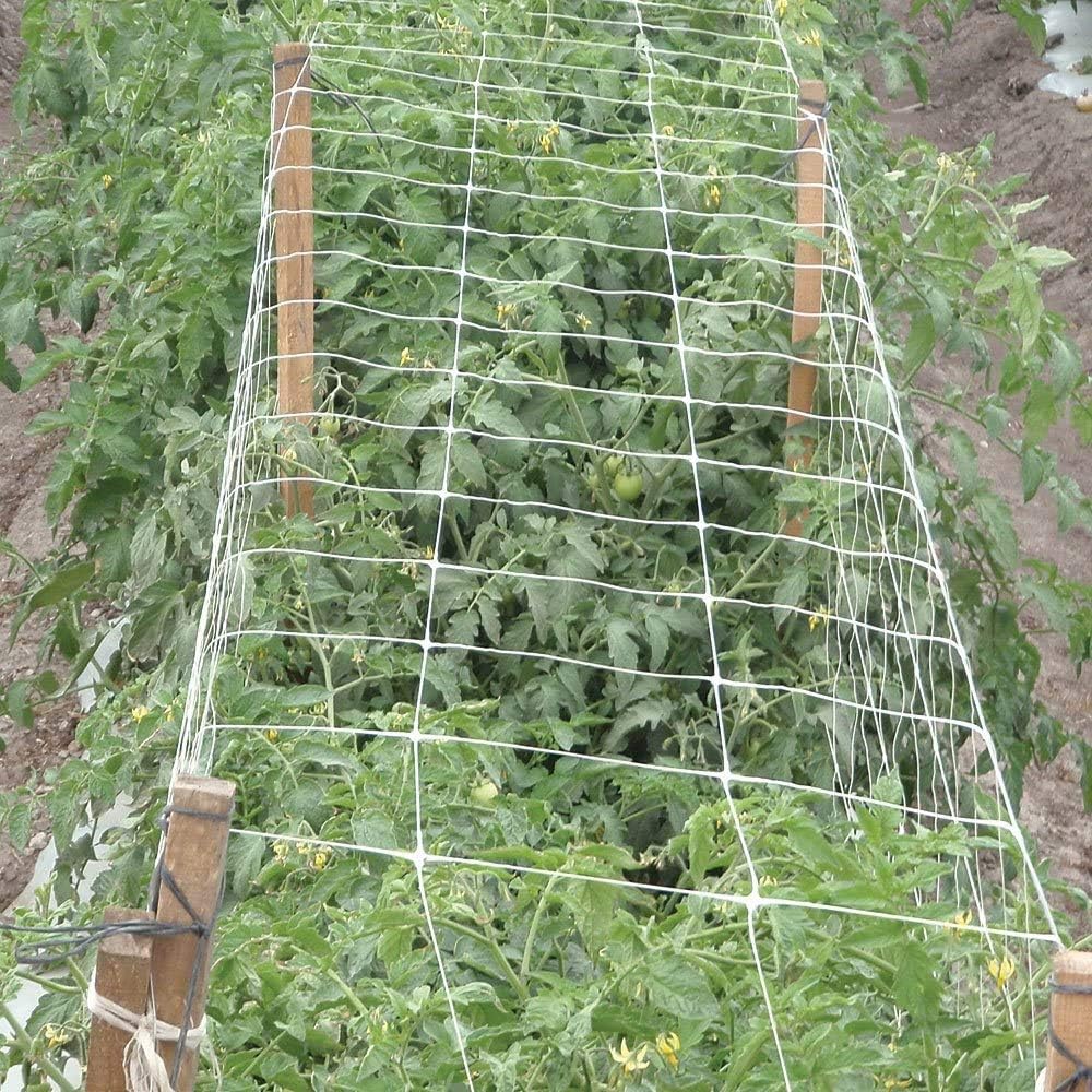 LAVZAN green netting blends with garden surroundings