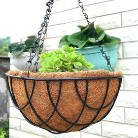 LAVZAN hanging-basket visual before and after with neat liner.