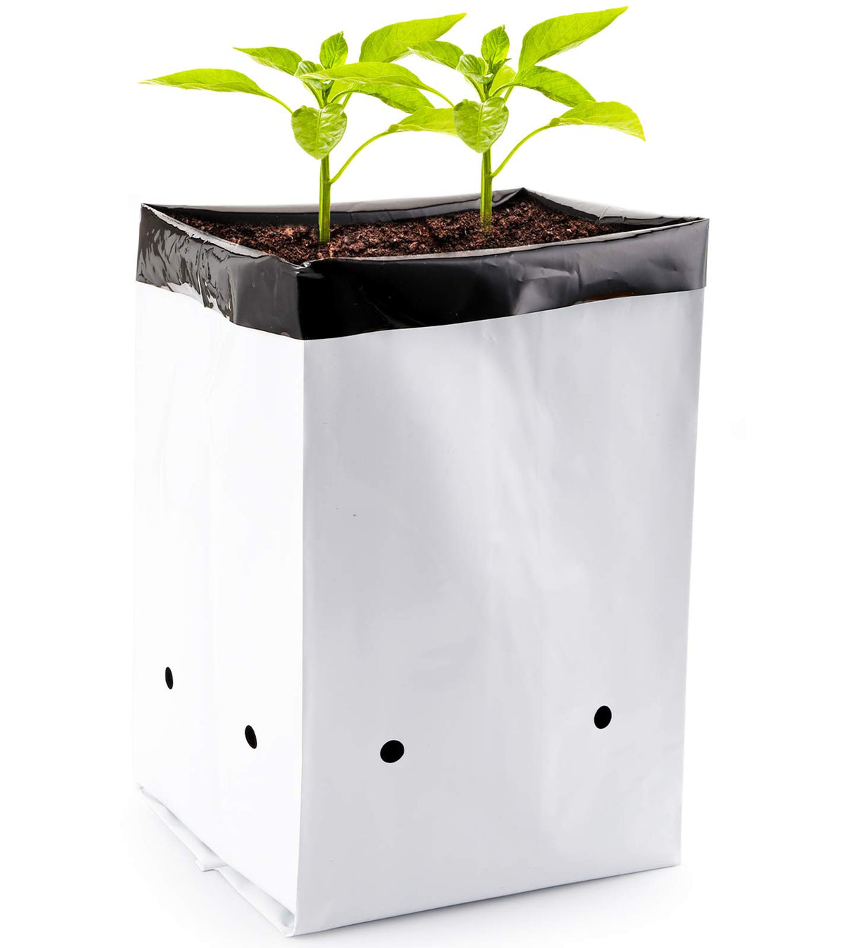 Lawei 1-gallon grow bag front view with black interior and white exterior, ready for seedlings