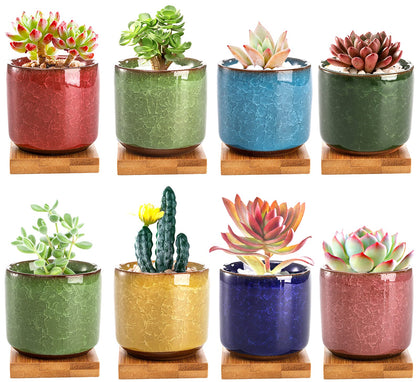 Lawei 8-pack ice crack ceramic succulent pots for stylish decor