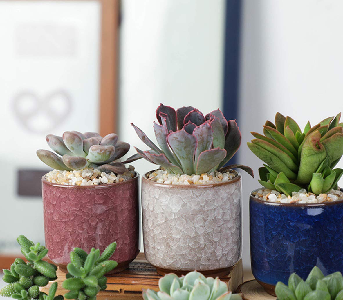 Lawei ceramic cactus pot set for tiny indoor plants
