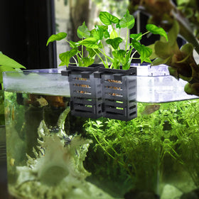 Lawei compatible with rimmed and rimless tanks for versatile setups