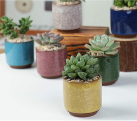 Lawei compact pot for desks and windowsills