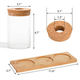 Lawei glass propagation vases with clear water visibility for root watching