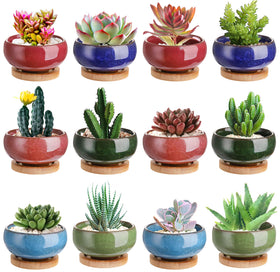 Lawei ice crack ceramic succulent pot with bamboo tray on bright windowsill