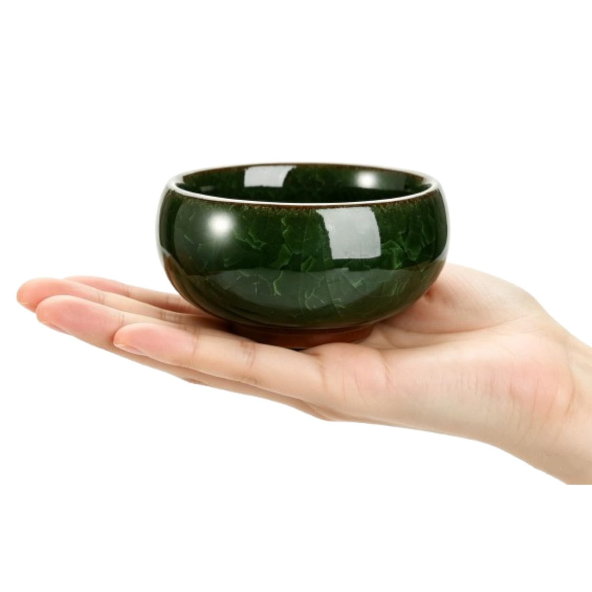 Lawei colorful succulent pot set adds visual interest to workspace