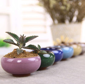 Lawei ceramic succulent pot display on mantle with vibrant glaze