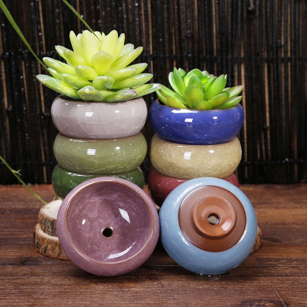 Lawei small planter with bamboo tray ideal for windowsill garden