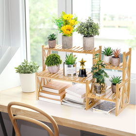 Lawei succulent display on stand demonstrates compact desktop decor