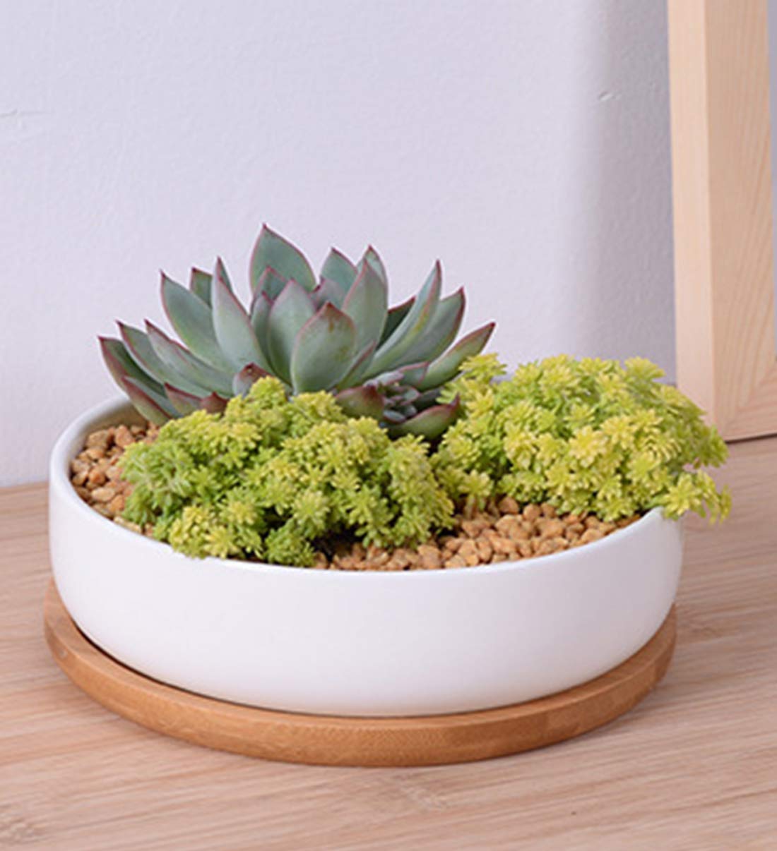 Lawei white ceramic planter ideal for bright indoor decor and desks