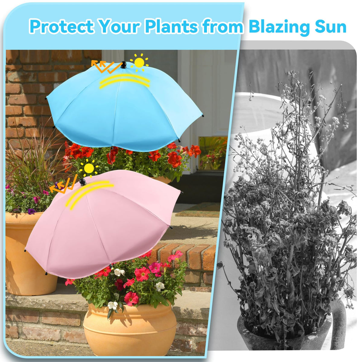 LAWFYMORI plant umbrella pink canopy provides shade for vibrant flowers
