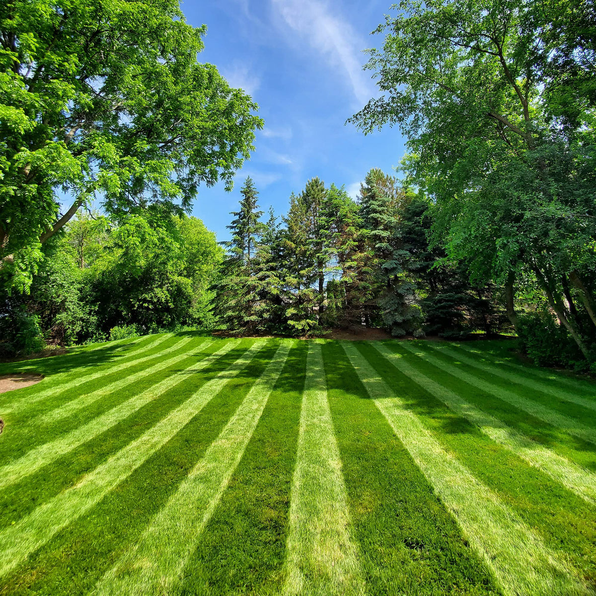 Lawn Stryper Gen 3 bracketing system mounted on a Honda walk-behind mower