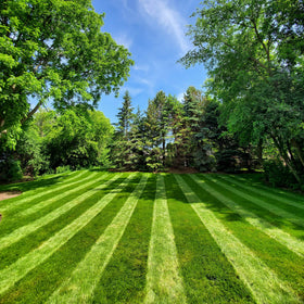 Lawn Stryper Gen 3 bracketing system mounted on a Honda walk-behind mower