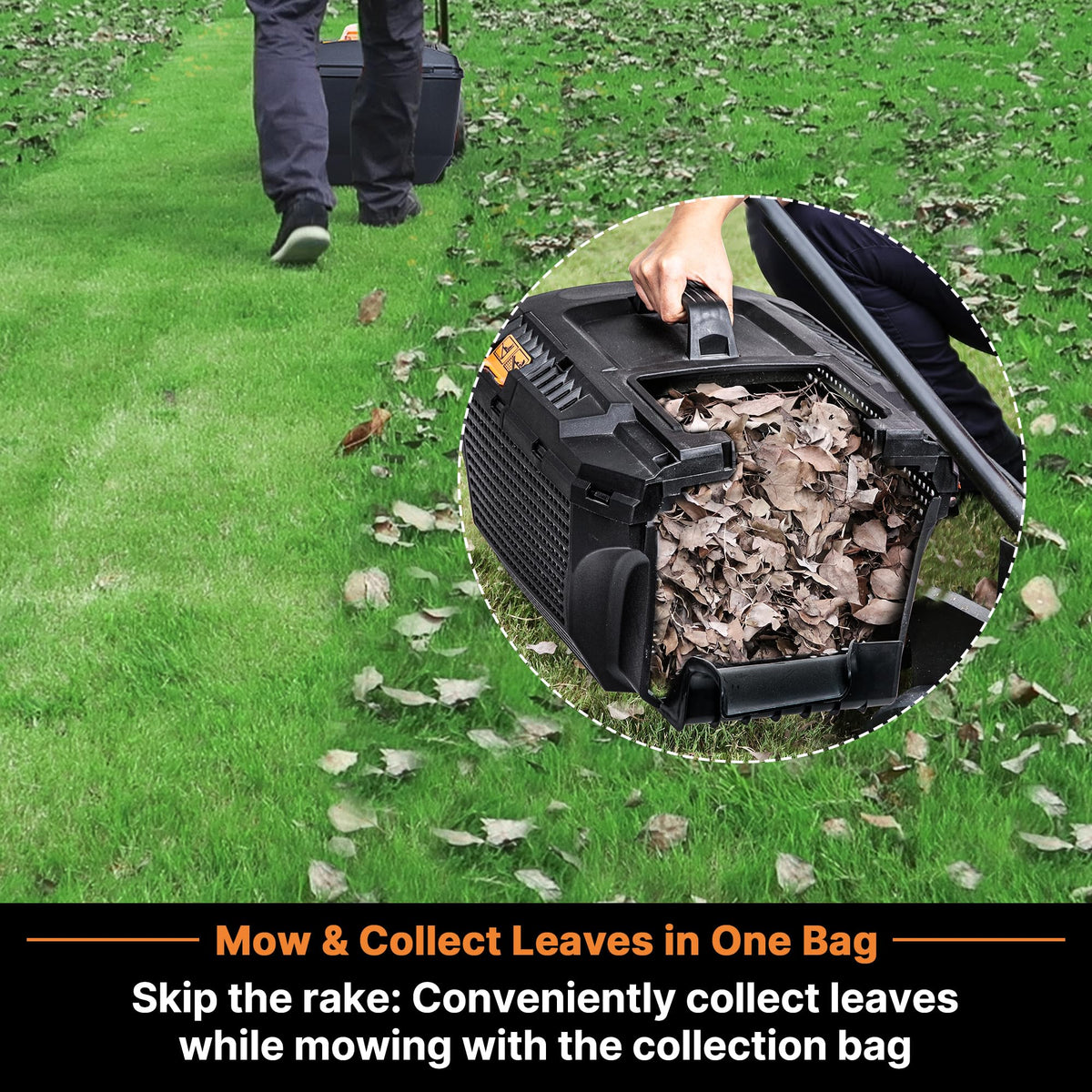 LawnMaster 24VMWBL 5.5-inch rear wheels improve maneuverability.