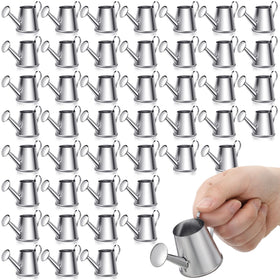 Layhit mini watering can silver closeup showing durable galvanized steel for rustic decor.
