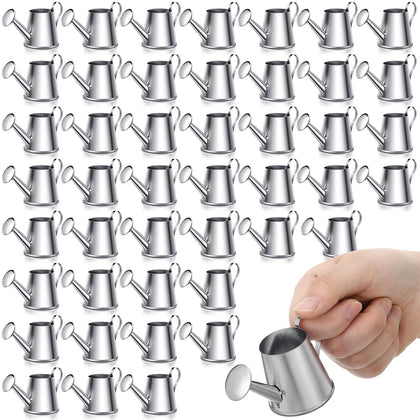 Layhit mini watering can silver closeup showing durable galvanized steel for rustic decor.