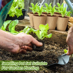 Layhit coir fiber seed start kit ready for seedling care