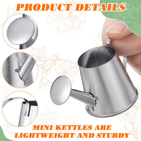 Layhit mini watering can silver garden decor closeup showcases versatile rustic charm.