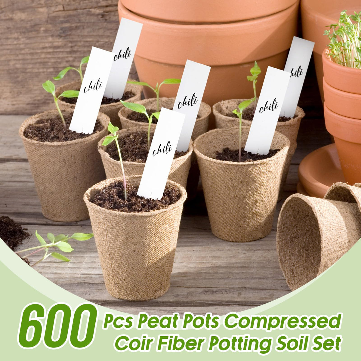 Layhit trowel set included for safe transplanting and pot filling