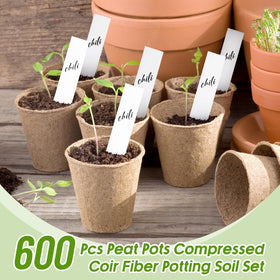 Layhit trowel set included for safe transplanting and pot filling
